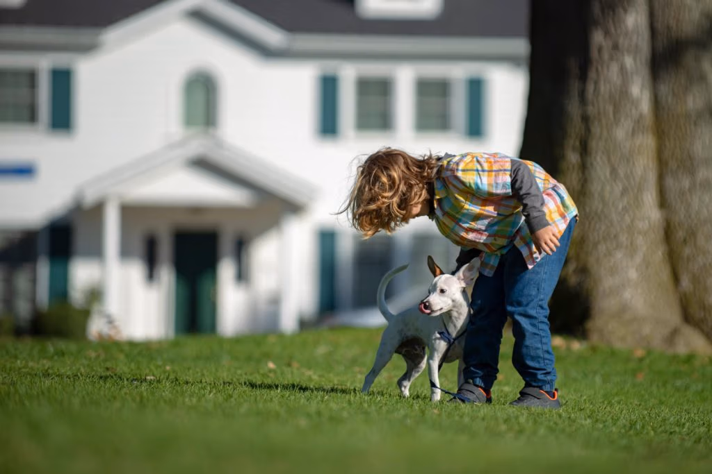 Homeowners Insurance Cover Dog Bite